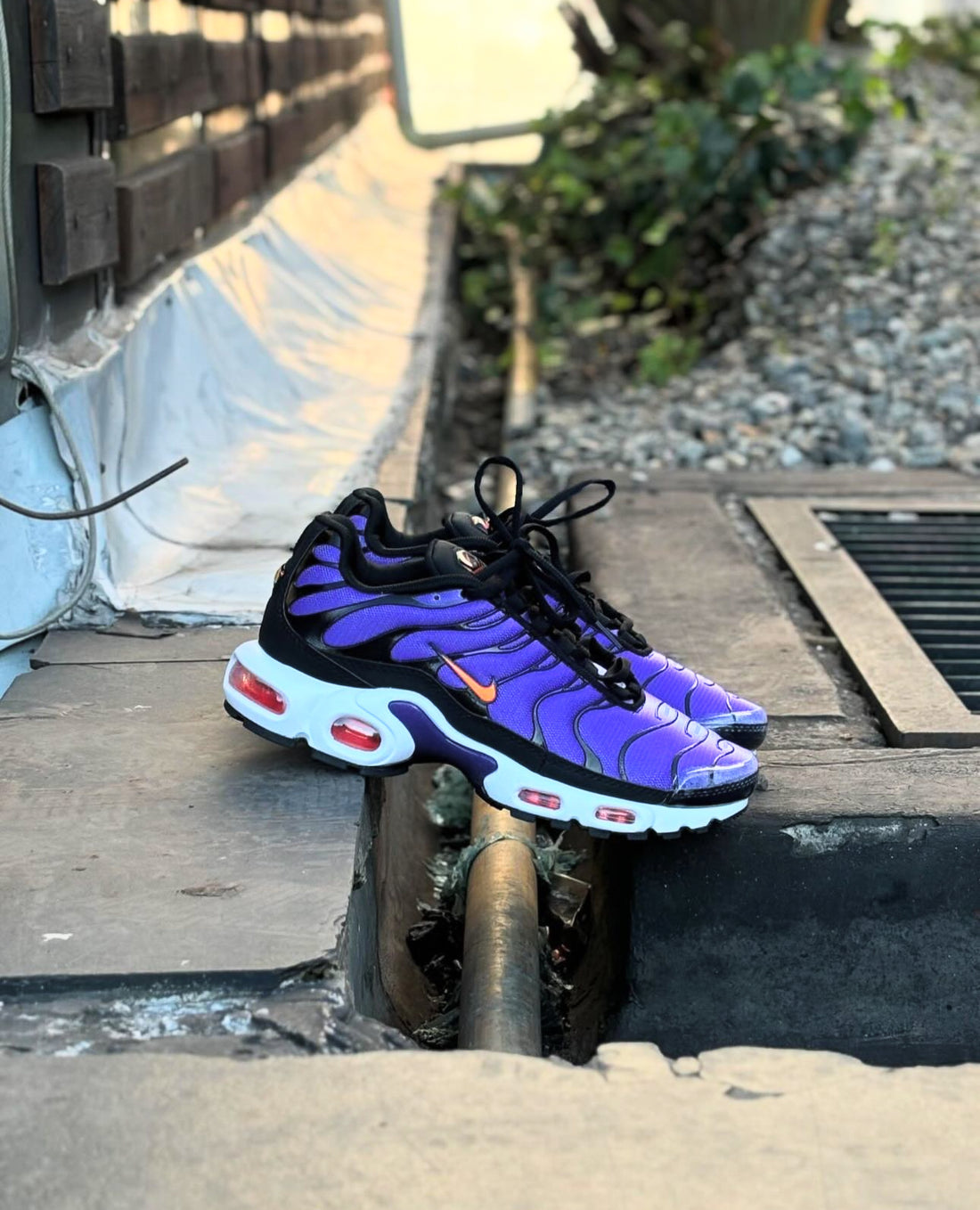 NIKE TN MORADOS