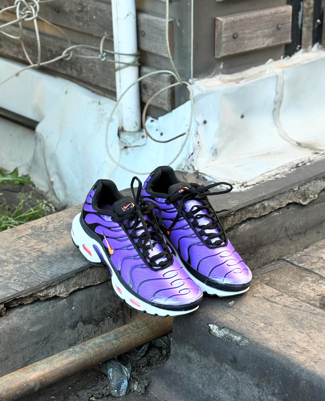 NIKE TN MORADOS
