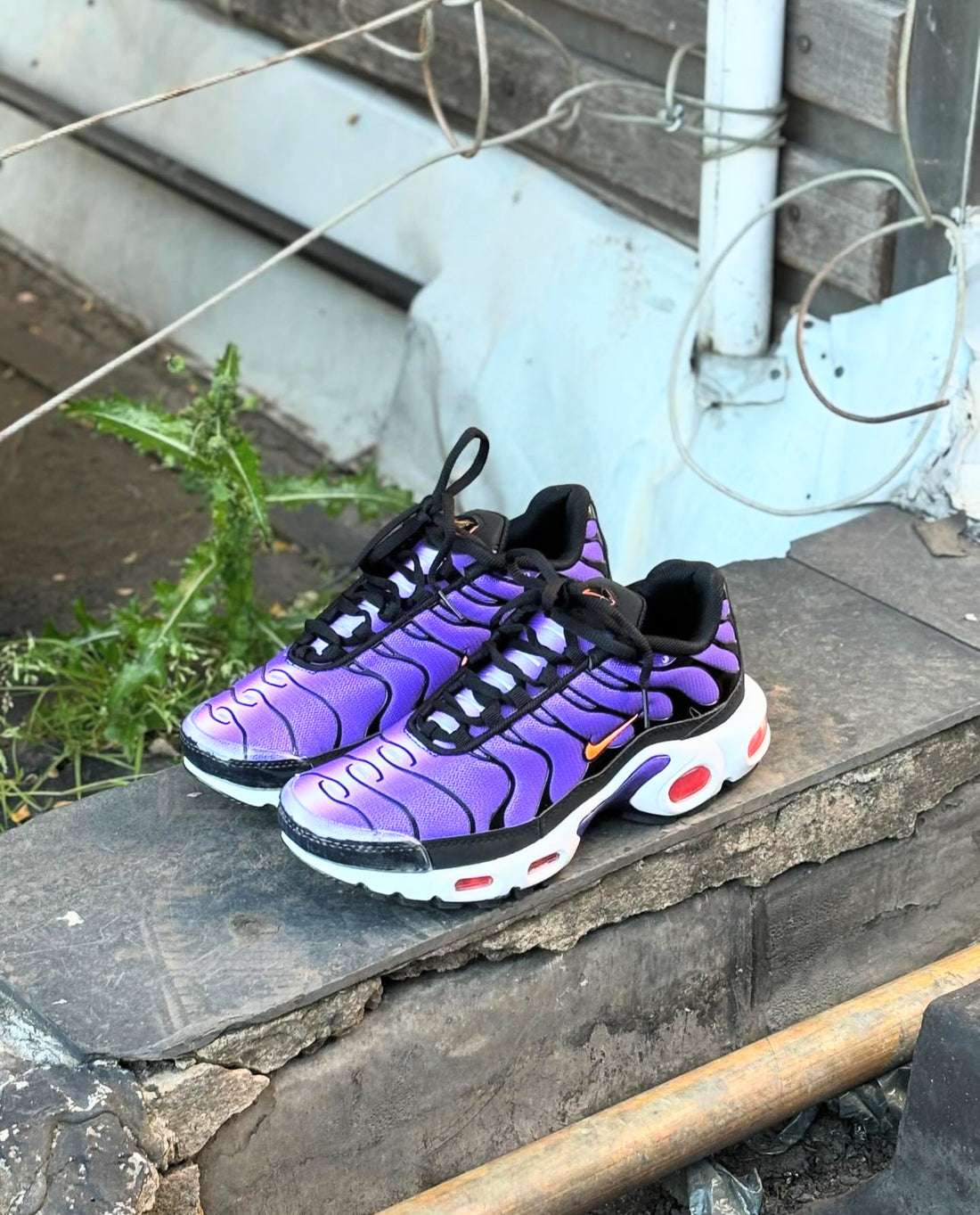 NIKE TN MORADOS