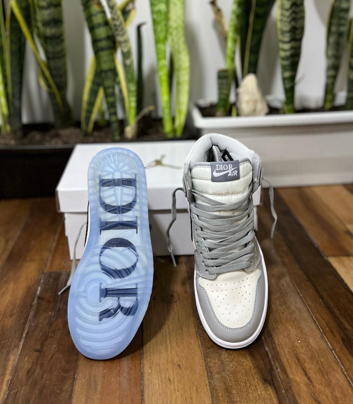 JORDAN RETRO 1 X DIOR